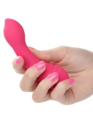 CALEXOTICS PIXIES TEASER ROSA