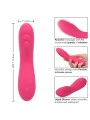 CALEXOTICS PIXIES RIPPLE ROSA