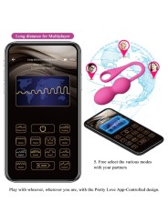 PRETTY LOVE ELVIRA BOLAS VIBRADORAS RECARGABLE ROSA