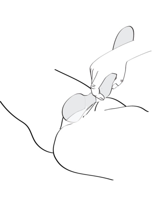 SHUNGA ZOA MASAJEADOR INTIMO ROSA