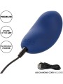 CALEXOTICS CASHMERE VELVET CURVE AZUL