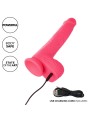 CALEXOTICS STUDS VIBRADOR REALISTICO 10 VIBRACIONES Y ROSA