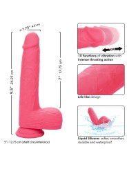 CALEXOTICS STUDS VIBRADOR REALISTICO 10 VIBRACIONES Y ROSA