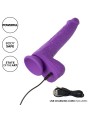 CALEXOTICS STUDS VIBRADOR RECARGABLE Y GIRATORIO 10 VIBRACIONES VIOLETA