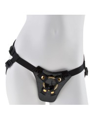 FETISH FANTASY GOLD ARNES DISENO