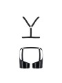 PASSION 047 SET ARON NEGRO S M