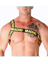 MACHO ARNES ROMANO AMARILLO S M