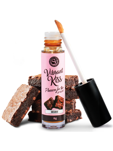 SECRETPLAY LIP GLOSS VIBRANT KISS BROWNIE