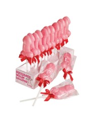 SPENCER FLEETWOOD PIRULETA SUCCULENT WILLIE