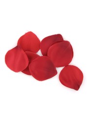 EXTASE SENSUAL COFRE TENTACION ROJA