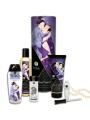 SHUNGA KIT COLECCION PLACERES CARNALES