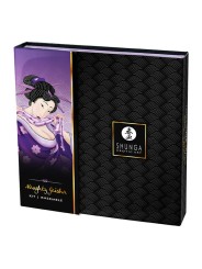 SHUNGA KIT GEISHA NAUGHTY