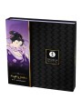 SHUNGA KIT GEISHA NAUGHTY