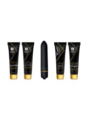 SHUNGA KIT GEISHA NAUGHTY