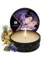 SHUNGA SECRET GEISHA FRUTAS EXOTICAS
