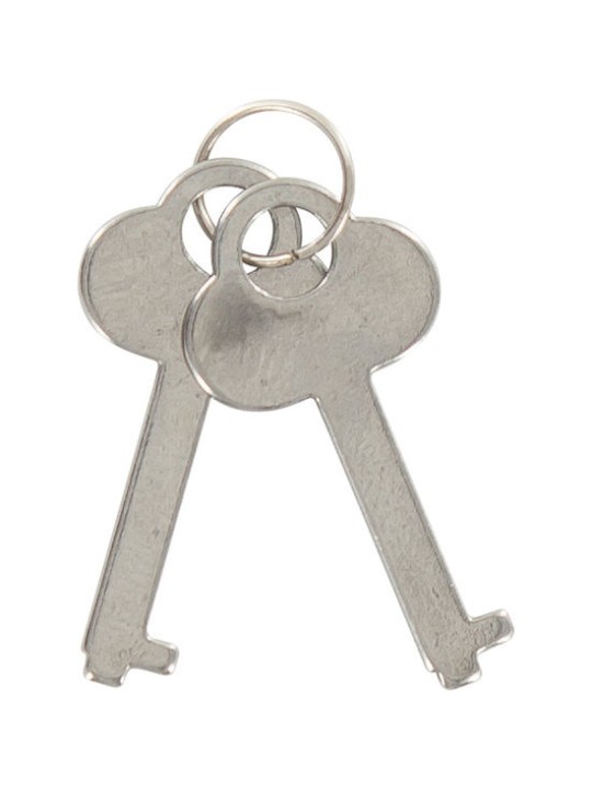 TOYJOY ESPOSAS DEL AMOR AZULES