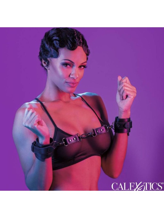CALEXOTICS EUPHORIA ESPOSAS