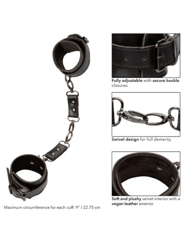 CALEXOTICS EUPHORIA ESPOSAS