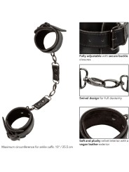 CALEXOTICS EUPHORIA ESPOSAS PARA TOBILLOS