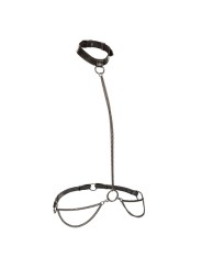 CALEXOTICS EUPHORIA COLLAR HALTER Y CORREA CON CADENA