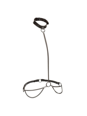 CALEXOTICS EUPHORIA COLLAR HALTER Y CORREA CON CADENA