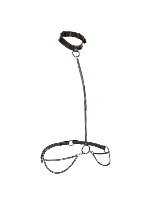 CALEXOTICS EUPHORIA COLLAR HALTER Y CORREA CON CADENA