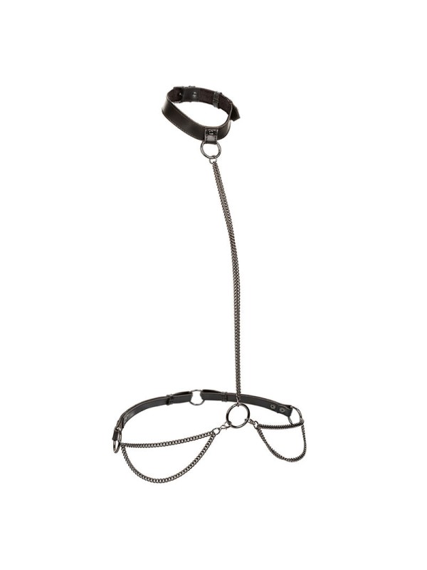 CALEXOTICS EUPHORIA COLLAR HALTER Y CORREA CON CADENA