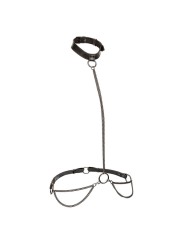 CALEXOTICS EUPHORIA COLLAR HALTER Y CORREA CON CADENA TALLA PLUS
