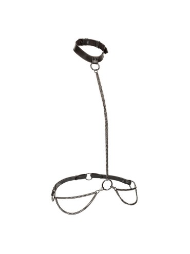 CALEXOTICS EUPHORIA COLLAR HALTER Y CORREA CON CADENA TALLA PLUS