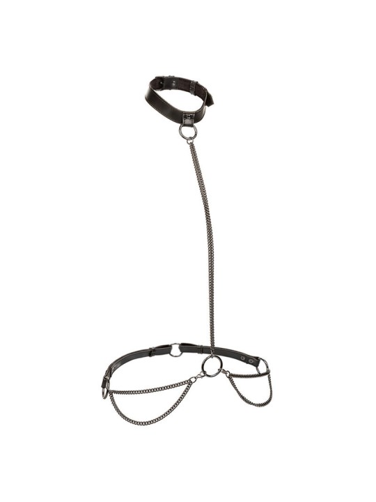 CALEXOTICS EUPHORIA COLLAR HALTER Y CORREA CON CADENA TALLA PLUS