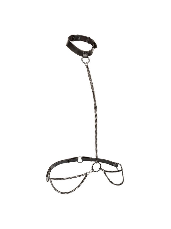 CALEXOTICS EUPHORIA COLLAR HALTER Y CORREA CON CADENA TALLA PLUS
