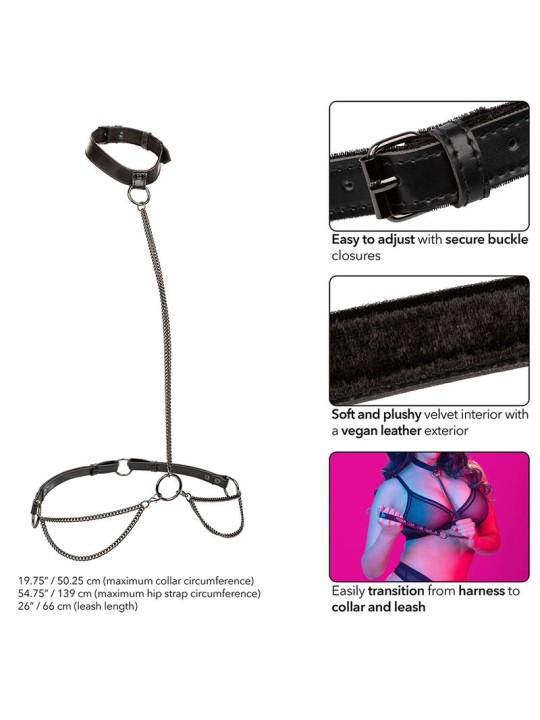 CALEXOTICS EUPHORIA COLLAR HALTER Y CORREA CON CADENA TALLA PLUS