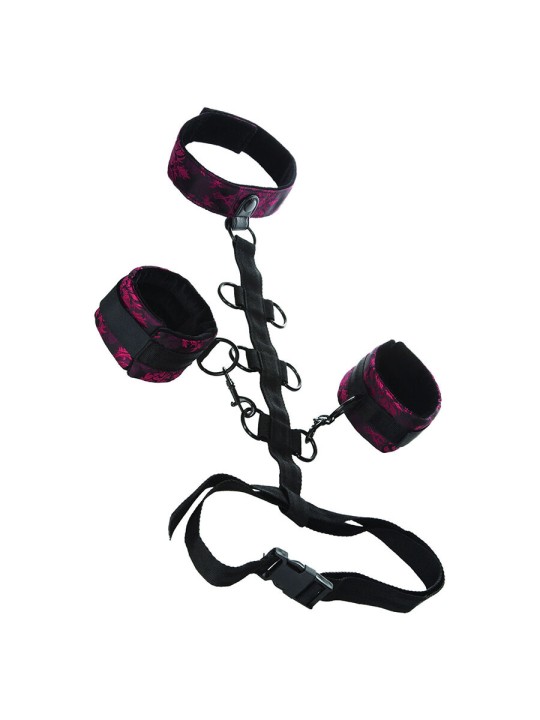 CALEXOTICS SCANDAL SUJECION COMPORAL CON CUELLO