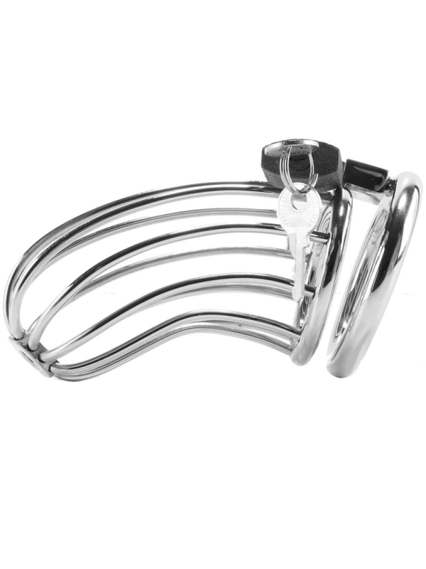 METAL HARD JAULA ANILLO CASTIDAD BIRD