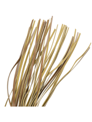 FETISH SUBMISSIVE ORIGEN LTIGO CUERO VEGANO