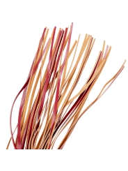 FETISH SUBMISSIVE DARK ROOM LATIGO CUERO VEGANO