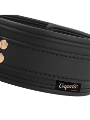 COQUETTE CHIC DESIRE FANTASY COLLAR CUERO VEGANO CON CORREA Y FORRO DE NEOPRENO
