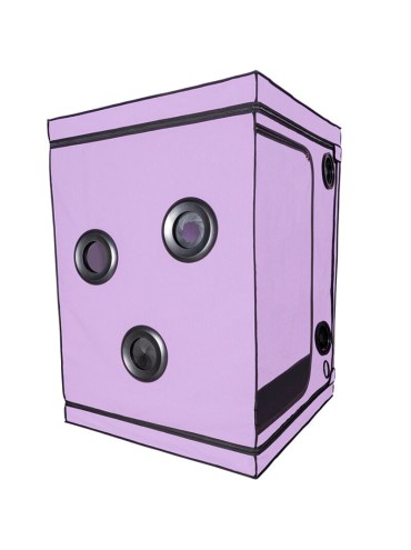 SECRET DOME KINK CLUB CABINA SCANDALE MORADO