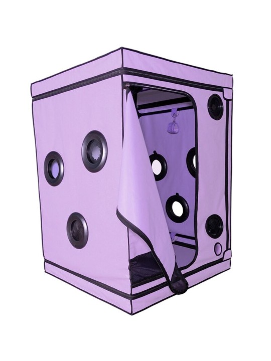 SECRET DOME KINK CLUB CABINA SCANDALE MORADO