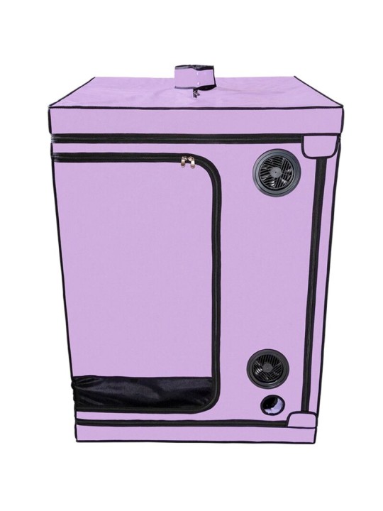 SECRET DOME KINK CLUB CABINA SCANDALE MORADO