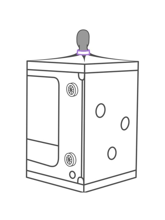 SECRET DOME KINK CLUB CABINA SCANDALE MORADO