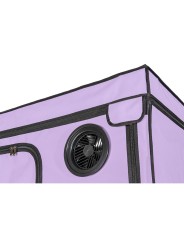 SECRET DOME KINK CLUB CABINA SCANDALE MORADO