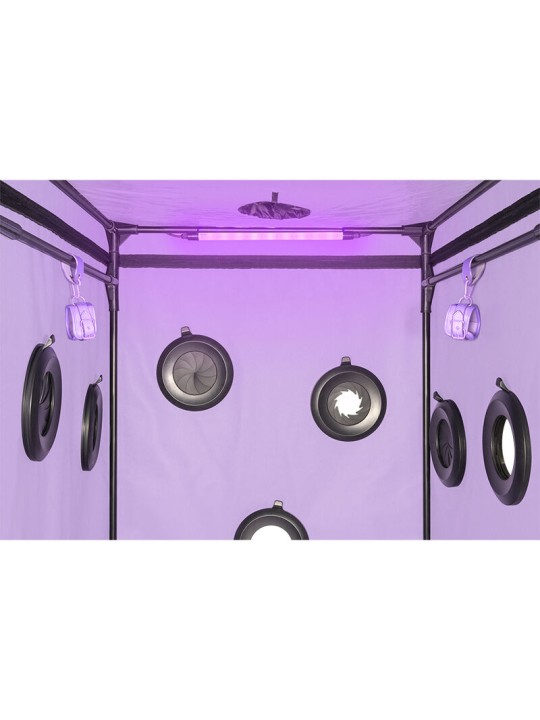 SECRET DOME KINK CLUB CABINA SCANDALE MORADO