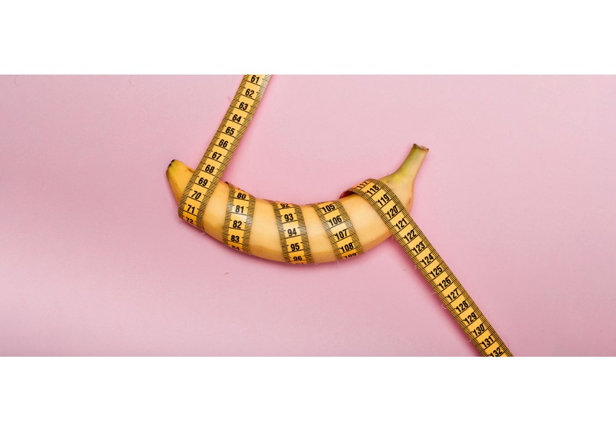 Grower vs Shower: Diferencias entre pene de sangre y pene de carne